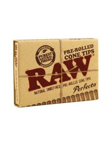 RAW Tips Cone Perfecto Prerolled