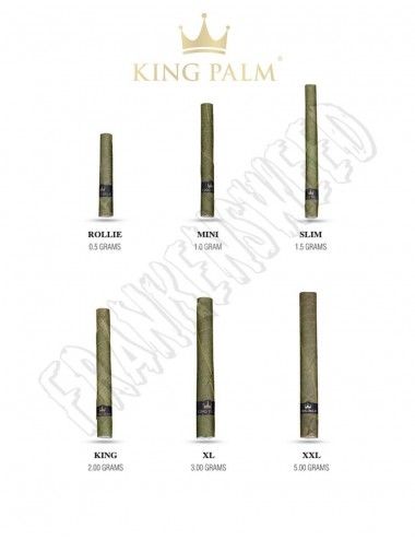 Disfruta los nuevos King Palm en España y de forma Online.